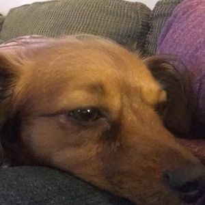 Meet your Posher, Edward